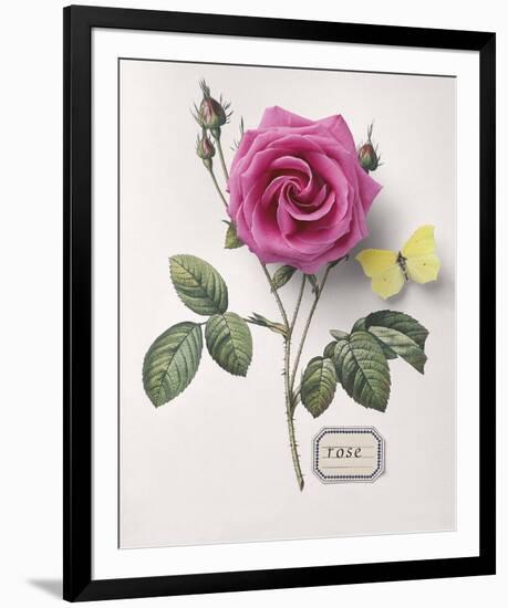 Floral Decoupage I-Camille Soulayrol-Framed Giclee Print