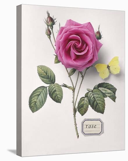 Floral Decoupage I-Camille Soulayrol-Stretched Canvas