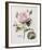 Floral Decoupage II-Camille Soulayrol-Framed Giclee Print