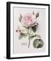 Floral Decoupage II-Camille Soulayrol-Framed Giclee Print