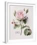 Floral Decoupage II-Camille Soulayrol-Framed Giclee Print