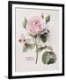 Floral Decoupage II-Camille Soulayrol-Framed Giclee Print