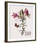 Floral Decoupage III-Camille Soulayrol-Framed Giclee Print