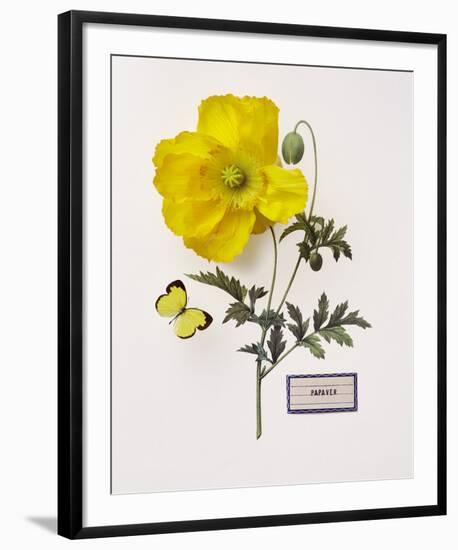 Floral Decoupage IV-Camille Soulayrol-Framed Giclee Print