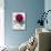 Floral Decoupage - Paeonia-Camille Soulayrol-Mounted Giclee Print displayed on a wall