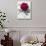 Floral Decoupage - Paeonia-Camille Soulayrol-Giclee Print displayed on a wall