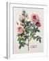 Floral Decoupage - Rosales-Camille Soulayrol-Framed Giclee Print