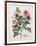 Floral Decoupage - Rosales-Camille Soulayrol-Framed Giclee Print