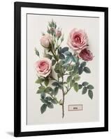 Floral Decoupage - Rosales-Camille Soulayrol-Framed Giclee Print