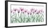 Floral Delight II-Jim Wehtje-Framed Giclee Print