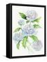 Floral Delight II-Kathleen Parr McKenna-Framed Stretched Canvas