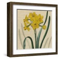 Floral Delight III-Vision Studio-Framed Art Print