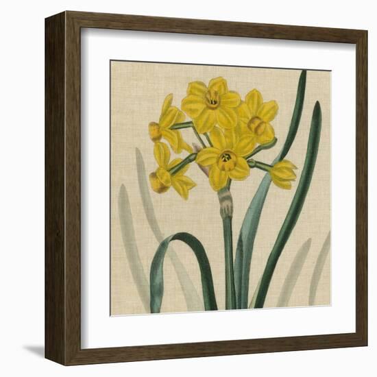 Floral Delight III-Vision Studio-Framed Art Print