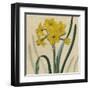 Floral Delight III-Vision Studio-Framed Art Print