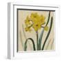 Floral Delight III-Vision Studio-Framed Art Print