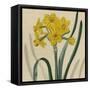 Floral Delight III-Vision Studio-Framed Stretched Canvas