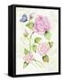 Floral Delight IV Butterflies-Kathleen Parr McKenna-Framed Stretched Canvas