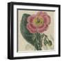 Floral Delight IV-Vision Studio-Framed Art Print