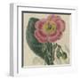 Floral Delight IV-Vision Studio-Framed Art Print