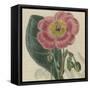 Floral Delight IV-Vision Studio-Framed Stretched Canvas