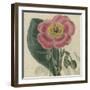 Floral Delight IV-Vision Studio-Framed Art Print