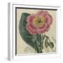 Floral Delight IV-Vision Studio-Framed Art Print