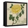 Floral Delight IX-Vision Studio-Framed Stretched Canvas