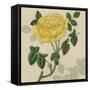 Floral Delight IX-Vision Studio-Framed Stretched Canvas