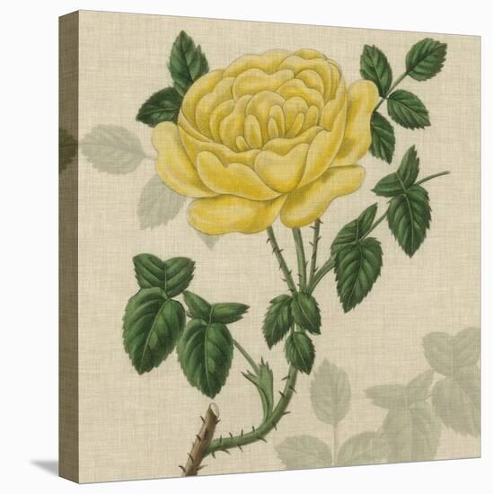 Floral Delight IX-Vision Studio-Stretched Canvas