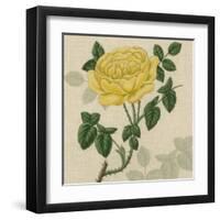 Floral Delight IX-Vision Studio-Framed Art Print