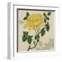 Floral Delight IX-Vision Studio-Framed Art Print