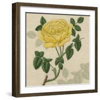 Floral Delight IX-Vision Studio-Framed Art Print