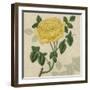 Floral Delight IX-Vision Studio-Framed Art Print