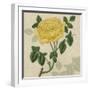 Floral Delight IX-Vision Studio-Framed Art Print