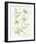 Floral Delight V Butterflies-Kathleen Parr McKenna-Framed Art Print