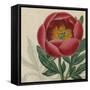 Floral Delight V-Vision Studio-Framed Stretched Canvas