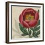 Floral Delight V-Vision Studio-Framed Art Print