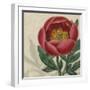 Floral Delight V-Vision Studio-Framed Art Print