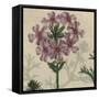 Floral Delight VI-Vision Studio-Framed Stretched Canvas