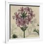 Floral Delight VI-Vision Studio-Framed Art Print