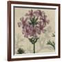 Floral Delight VI-Vision Studio-Framed Art Print