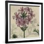 Floral Delight VI-Vision Studio-Framed Art Print