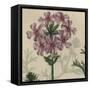 Floral Delight VI-Vision Studio-Framed Stretched Canvas