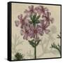 Floral Delight VI-Vision Studio-Framed Stretched Canvas