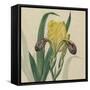 Floral Delight VII-Vision Studio-Framed Stretched Canvas