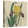 Floral Delight VII-Vision Studio-Stretched Canvas