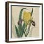 Floral Delight VII-Vision Studio-Framed Art Print