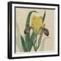 Floral Delight VII-Vision Studio-Framed Art Print