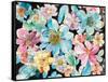 Floral Delight-Danhui Nai-Framed Stretched Canvas