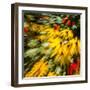 Floral Delight-Janet Slater-Framed Photographic Print